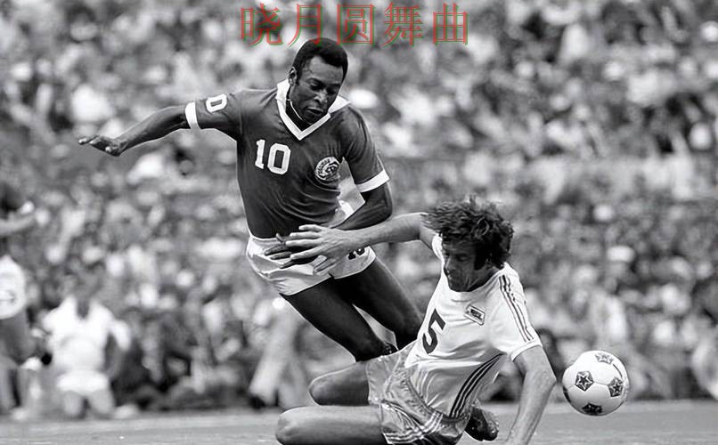 世界杯投注平台巴西比赛盘口变化怎么读 世界杯投注平台巴西比赛盘口变化怎么读